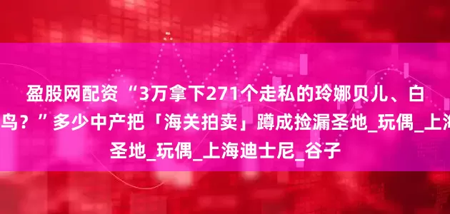 盈股网配资 “3万拿下271个走私的玲娜贝儿、白菜价打包始祖鸟？”多少中产把「海关拍卖」蹲成捡漏圣地_玩偶_上海迪士尼_谷子